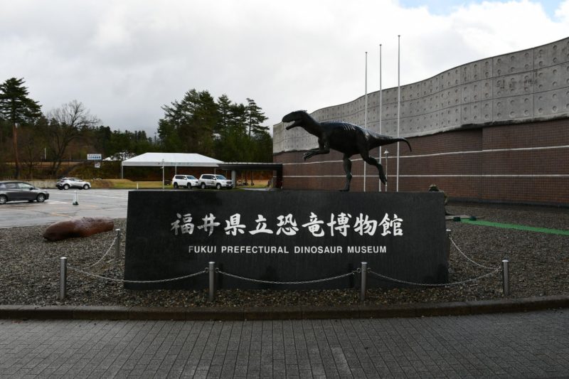 福井県立恐竜博物館